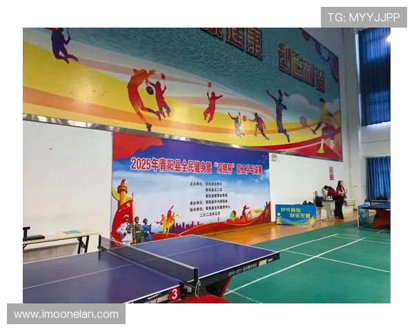 乒乓球盛宴：深入了解广州乒乓球队的比赛技巧与经验分享