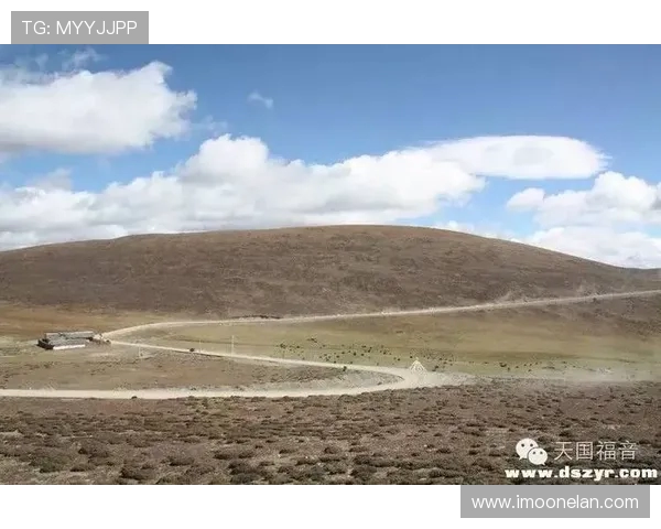本土文化的坚守与中央政策的脉动之间的微妙平衡与互动探讨 本土文化的坚守与中央政策的脉动之间的微妙平衡与互动探讨