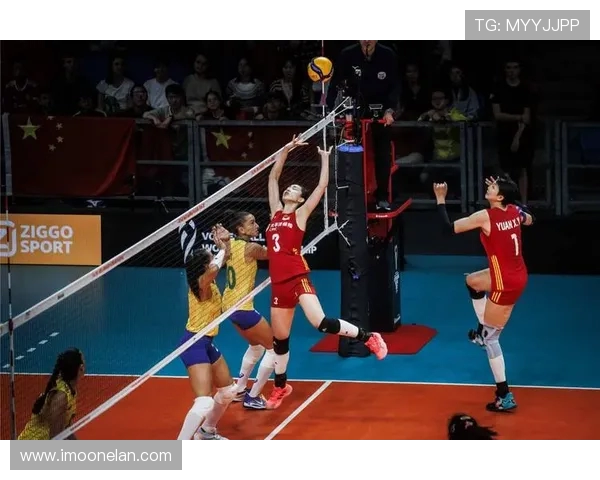 上海排球队灵活性排名第一最新排球灵活性TOP10揭晓 上海排球队灵活性排名第一最新排球灵活性TOP10揭晓