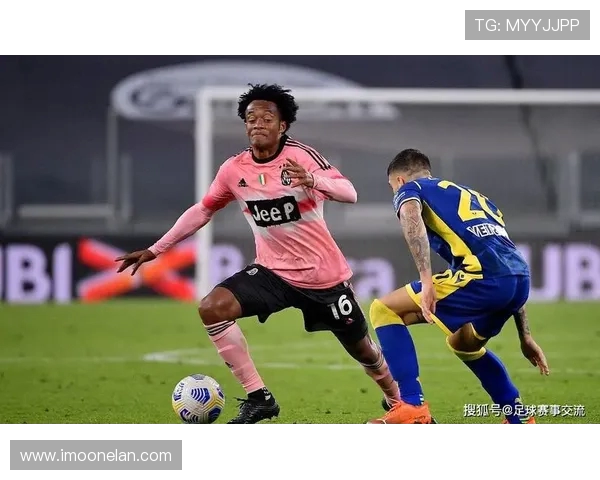 北京飞盘队创历史新高状态排名引发热议展现团队实力与潜力