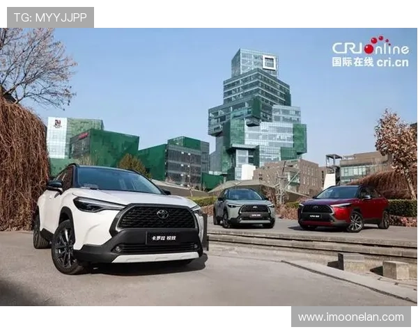 北京网球队在洲际杯积分榜上以98分稳居第一名展现强劲实力