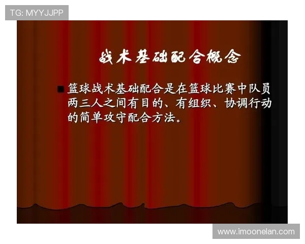 广州羽毛球队快攻战术解析与未来发展展望