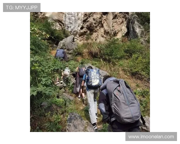 成都攀岩队比赛经验分享与技术提升的探索之旅